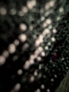 SweetCumshot live sex cam