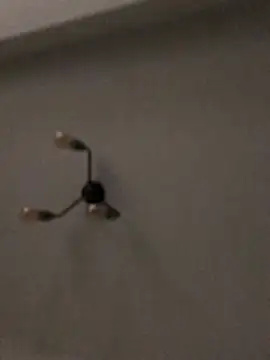 BigDEZZZzz's cam snapshot