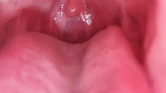 LT-333's cam snapshot