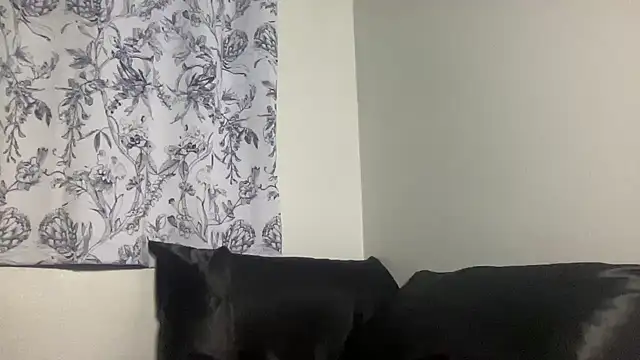 NatalieKneals live sex cam