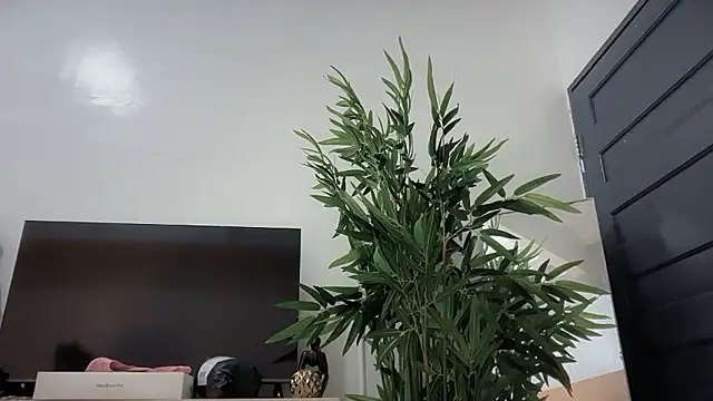 bajejek01 live sex cam