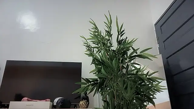 bajejek01 live sex cam