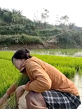 Tin_tanny's cam snapshot