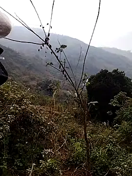 abigail-00's cam snapshot