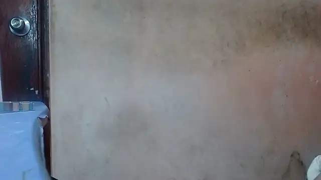 nakedlima's cam snapshot