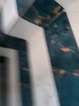 SilentIncoming's cam snapshot