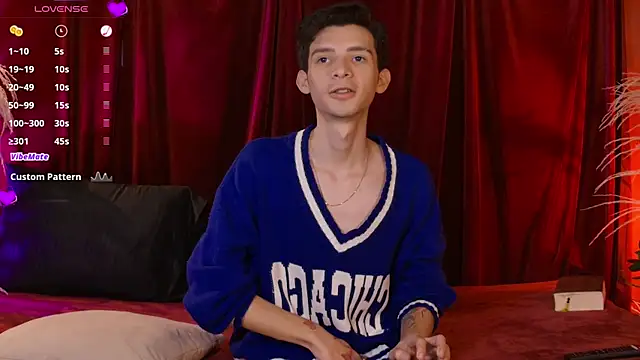 VicenteFerrer's cam snapshot