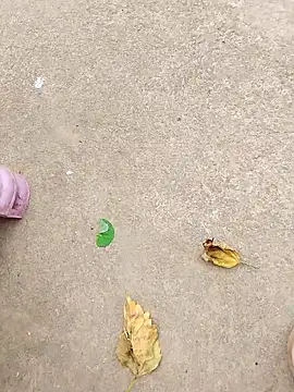 Hin-ni's cam snapshot