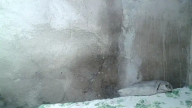 xwindyxxx's cam snapshot