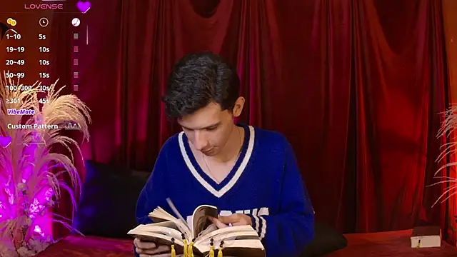 VicenteFerrer's cam snapshot