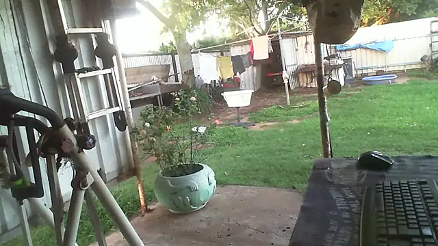 herbie010666 live sex cam