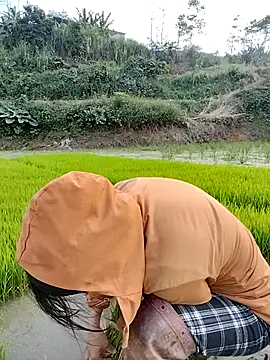 Tin_tanny live sex cam