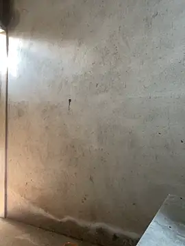 lysexy88's cam snapshot