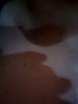 Yong-my's cam snapshot