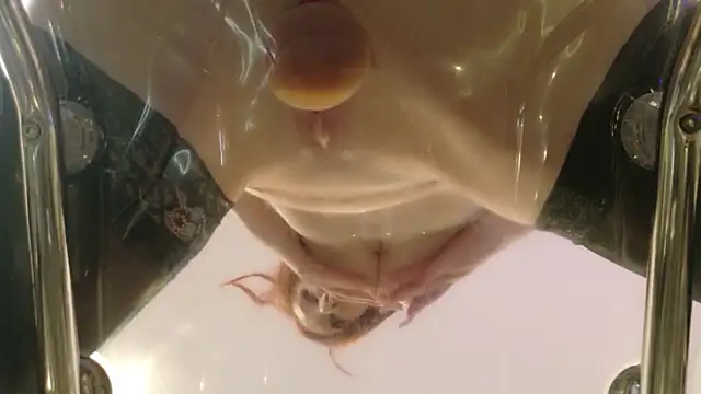 Midnightrose11 live sex cam