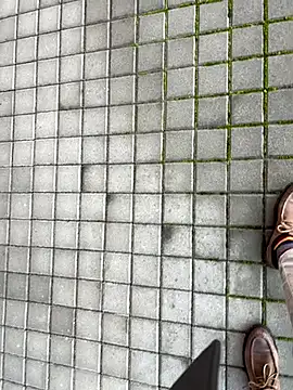 buodiculo live sex cam