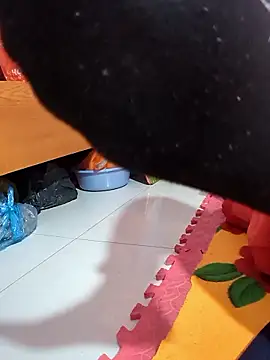 opna8's cam snapshot