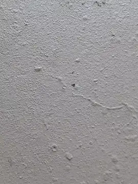 Bootyliciousbbw12's cam snapshot