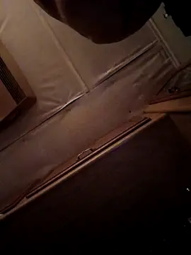 ShawnandDani7074 live sex cam