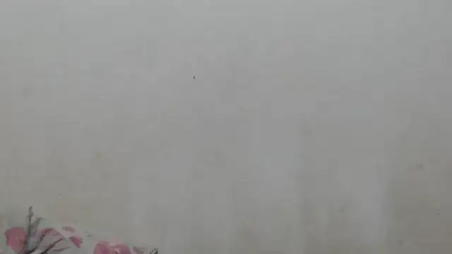 girl_tits's cam snapshot