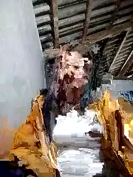 kaia-cam's cam snapshot