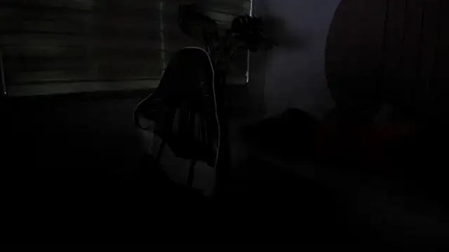 laia_hatman's cam snapshot