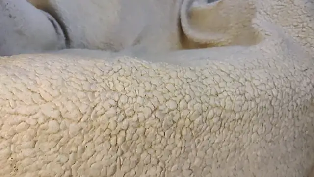 LuuXus's cam snapshot