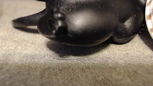 NTR_COUPLE live sex cam