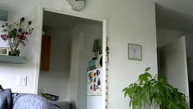 frenchblackc31 live sex cam