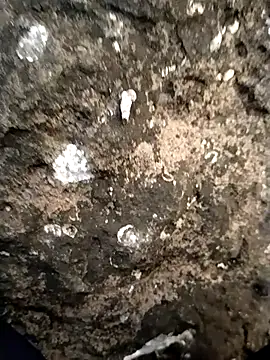 Guru2's cam snapshot