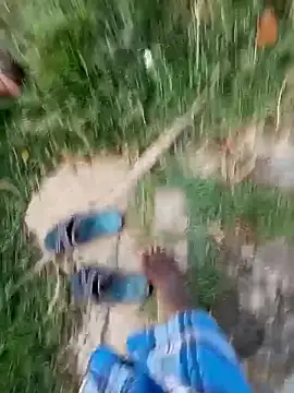 dolphiinn's cam snapshot