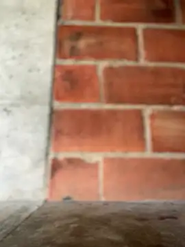 MiaLujan_ live sex cam