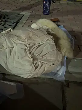 ella-ys live sex cam