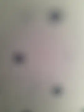 ratoncito_3 live sex cam