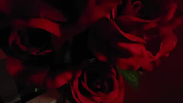 _Jane_Warren_'s cam snapshot