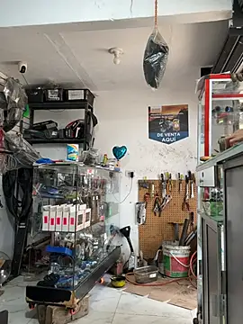 Paul22cm- live sex cam