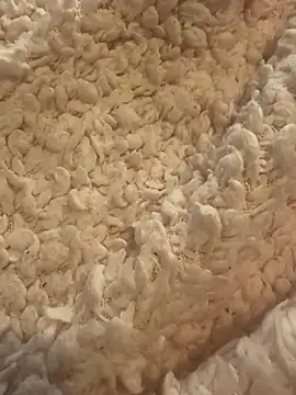 Joanachupa live sex cam