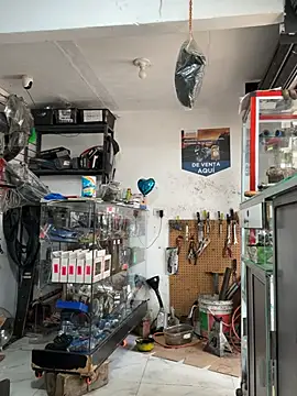 Paul22cm- live sex cam