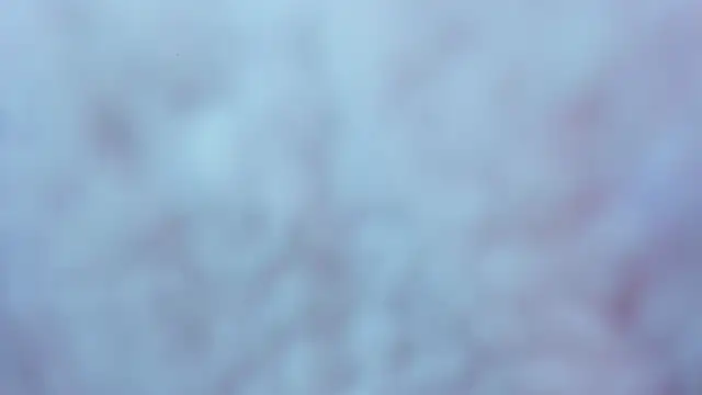 SaraandOriana's cam snapshot