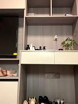 POS001's cam snapshot