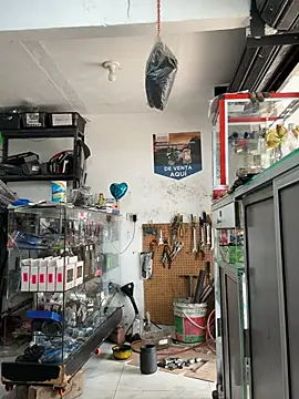 Paul22cm- live sex cam