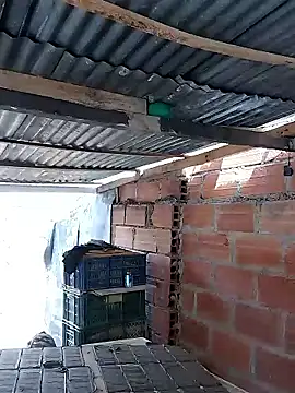 hoteder live sex cam