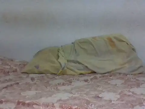 ares2005bb's cam snapshot