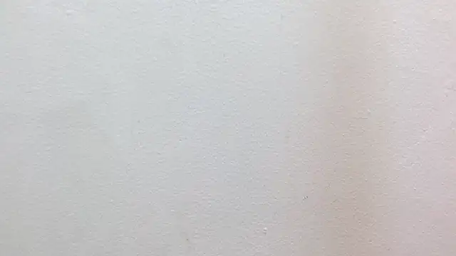 JackSwan18 live sex cam