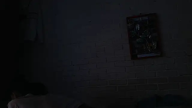 valeriaswang_Lucas live sex cam