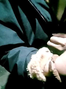 him220's cam snapshot