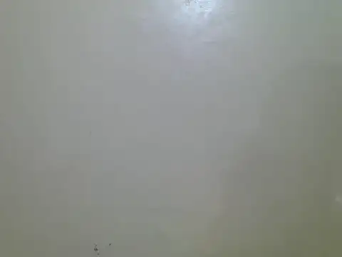 Rasta_tattooed live sex cam