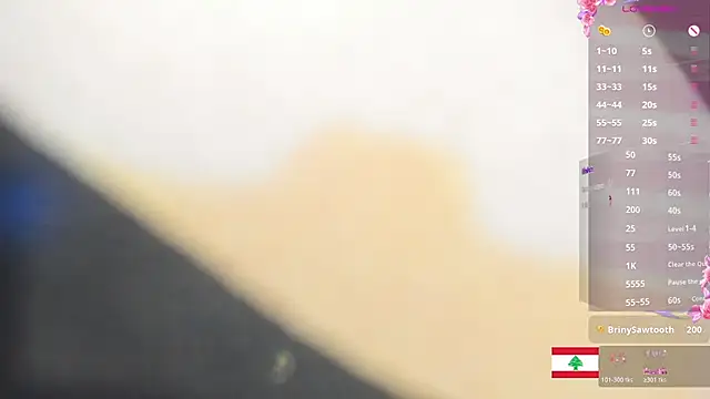 Marjane's cam snapshot