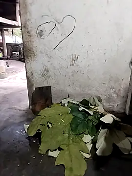 gugu0022's cam snapshot