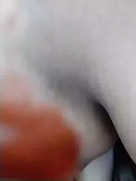 houseforsex live sex cam